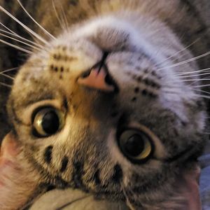 Meet your Posher, Leslie